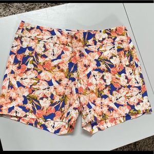J Crew Stretch Shorts